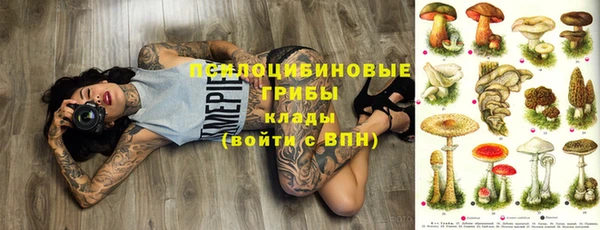 СК Алексин