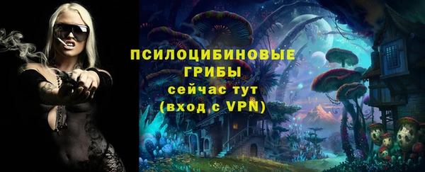 СК Алексин