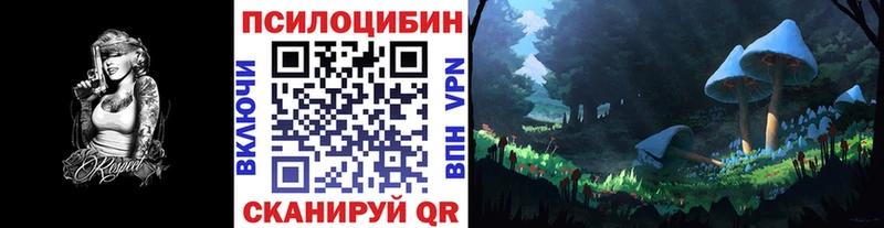 Псилоцибиновые грибы Psilocybine cubensis  дарк нет клад  Тосно  наркотики 
