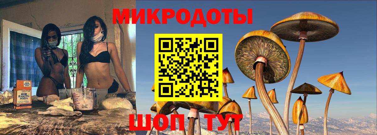 Тосно  Псилоцибиновые грибы MAGIC MUSHROOMS  Вход с VPN 