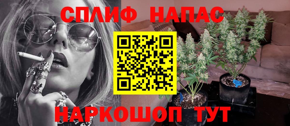МАРИХУАНА MAZAR  Вход с VPN  Конопля AK-47  Тосно  Каннабис семена 